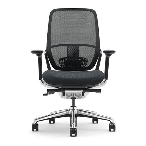 Legend Respaldo Bajo