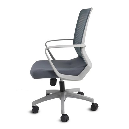 Moldavia Ejecutivo Gris - Image 4