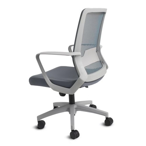 Moldavia Ejecutivo Gris - Image 5